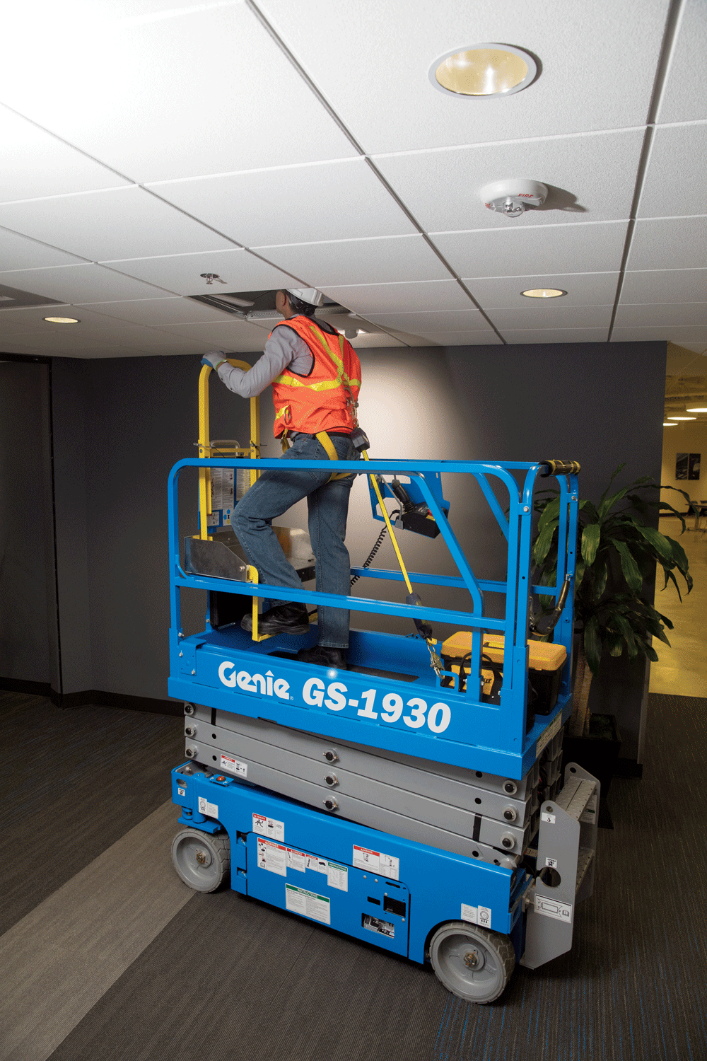 Access-Deck-Scissors-Photo