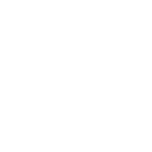 Electrical Plug in Outlet